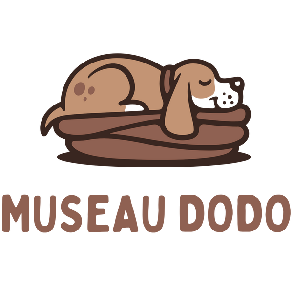 Museau dodo